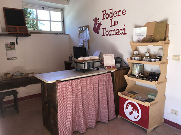 SOC.AGR. PODERE LE FORNACI DI GADOTTI VALENTINA, CAMPOLMI NICOLO', ALESSI VALENTINA E CIRI AMANDA SS — foto 7