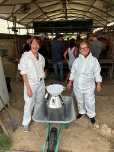 PLF_CheeseLab_sett25_2